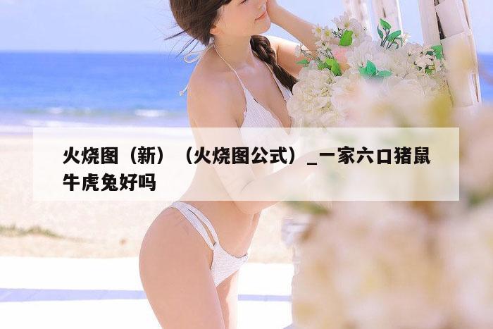 火烧图（新）（火烧图公式）_新澳门六开彩资料大全网址